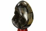 Septarian Dragon Egg Geode - Black Crystals #118752-2